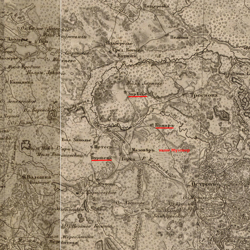 Карта России, 1863 год (фрагмент СПб губернии)